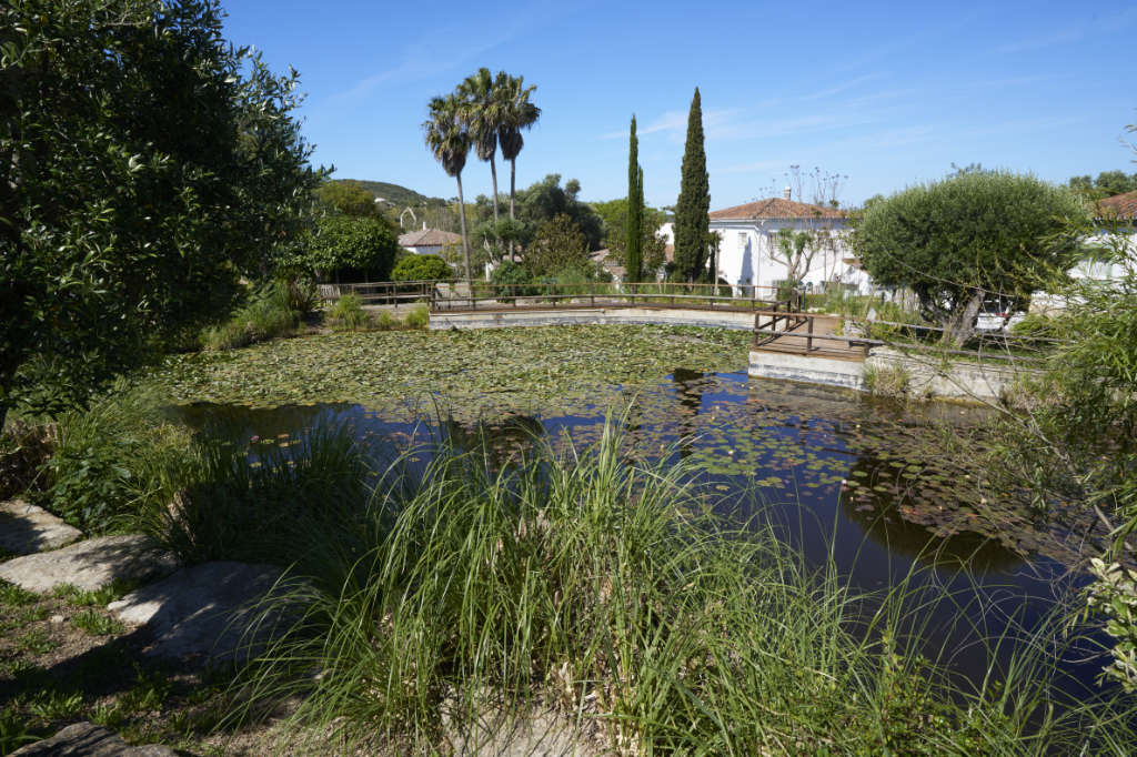 The Lake - Monte da Palhagueira Retirement Village in the Algarve